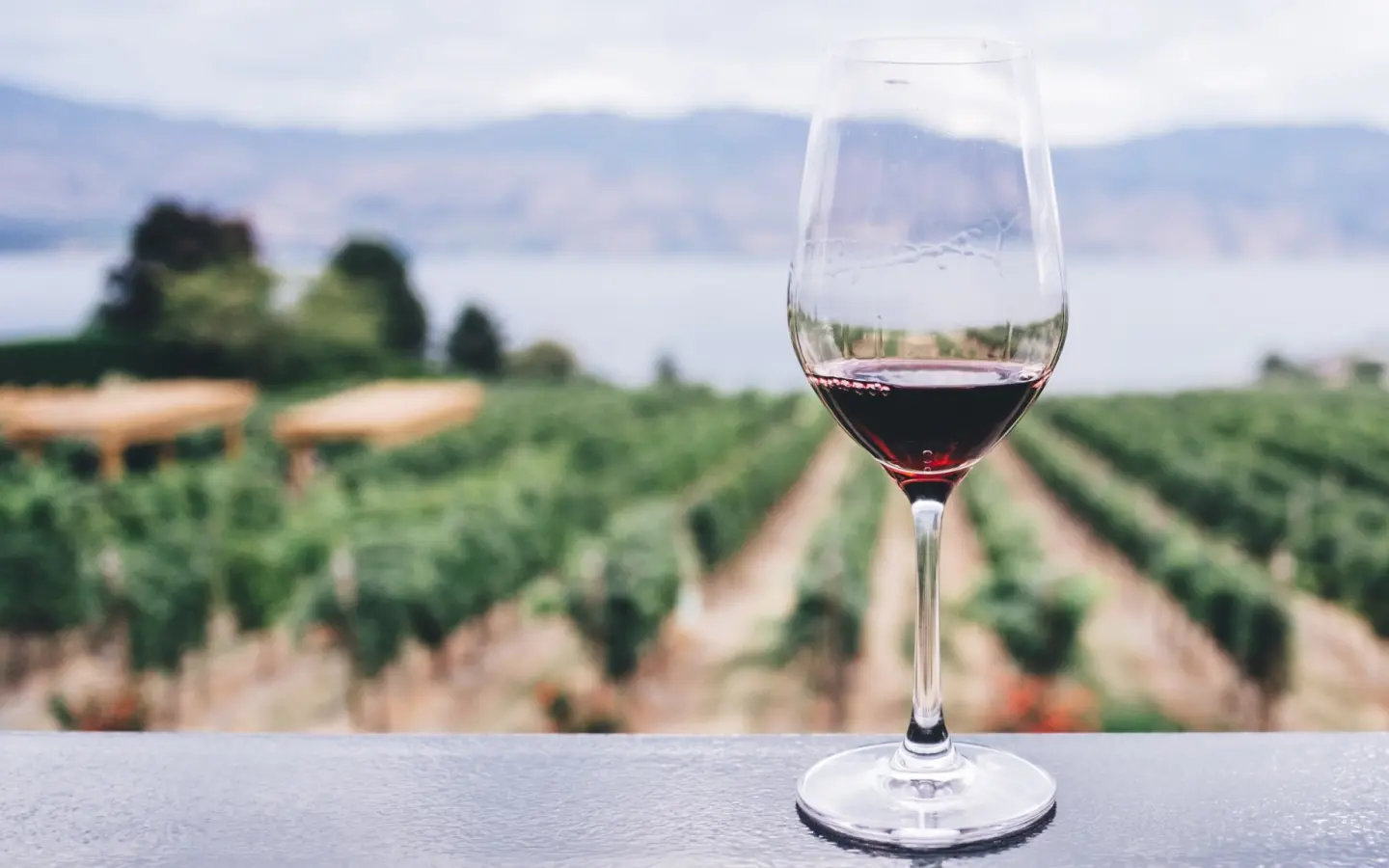 The 15 best wine regions in Australia worthy of a grape escape